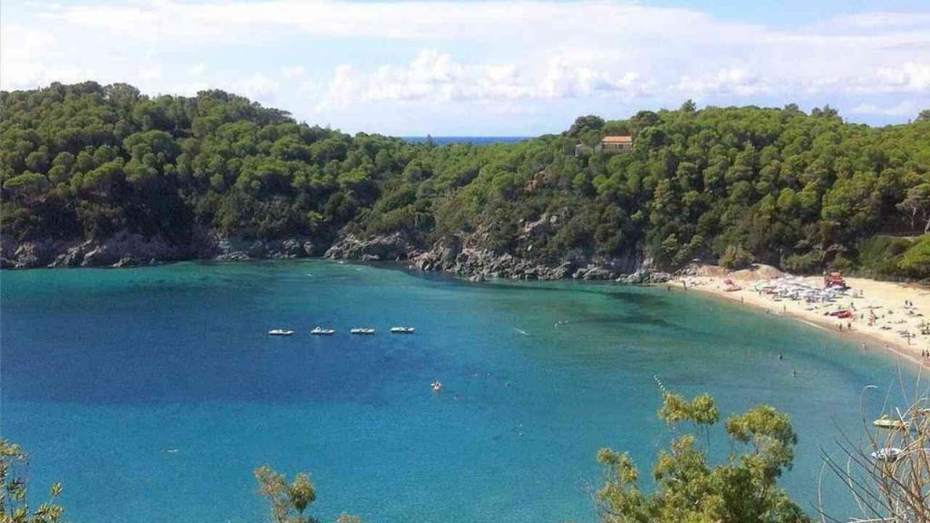 La spiaggia dell'oro - Adginforma.it