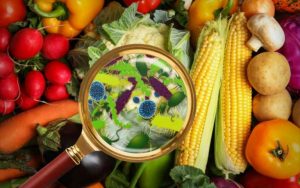 allerta alimentare per rischio avvelenamento