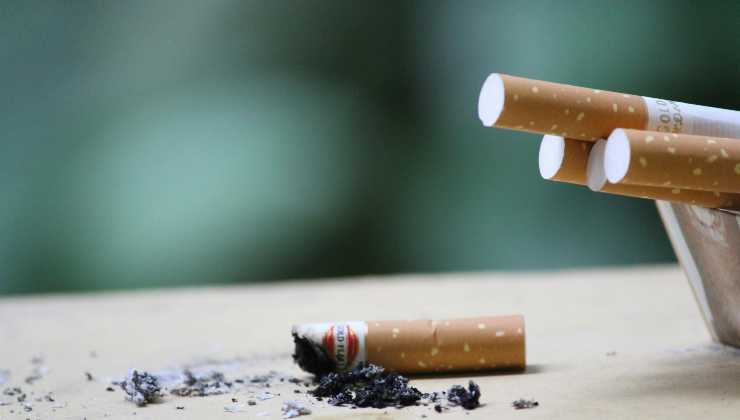 Il fumo è tra le principali cause di morte - adginforma.it - 20250429