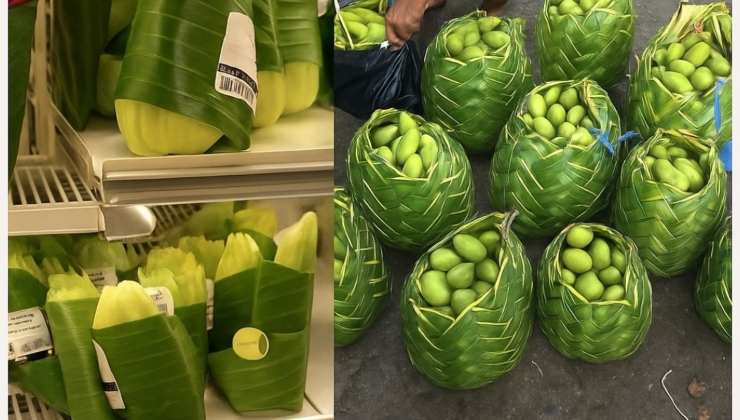 Imballaggi con foglie di banano - adginforma.it - 20250430