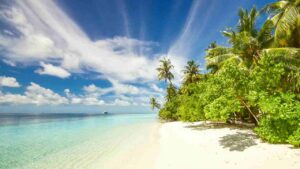 Isola - Adginforma.it