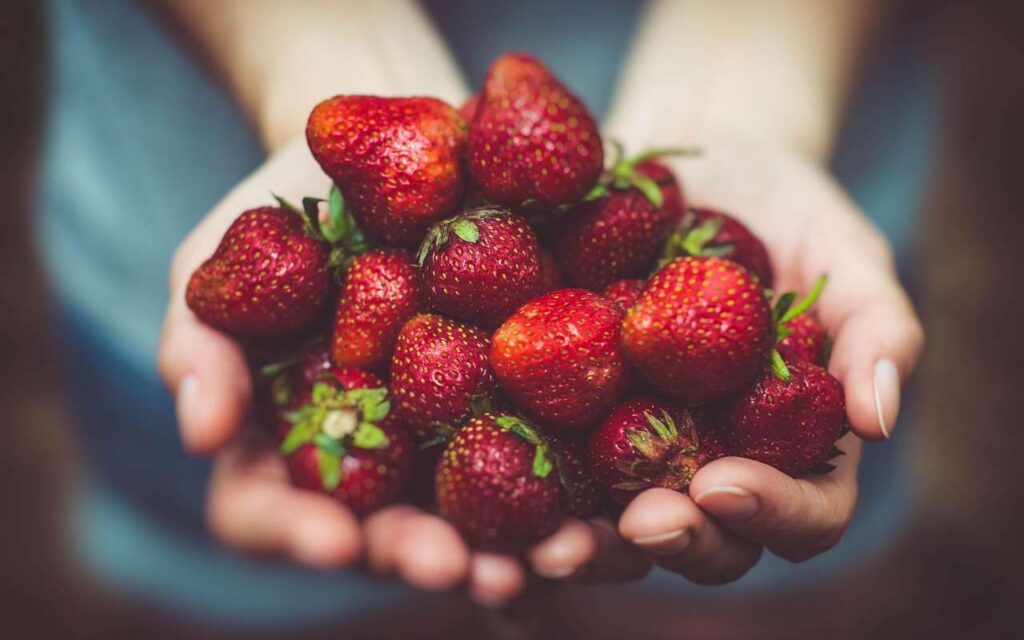 scoperte fragole killer
