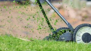 arrestato per il gesto nel giardino di casa