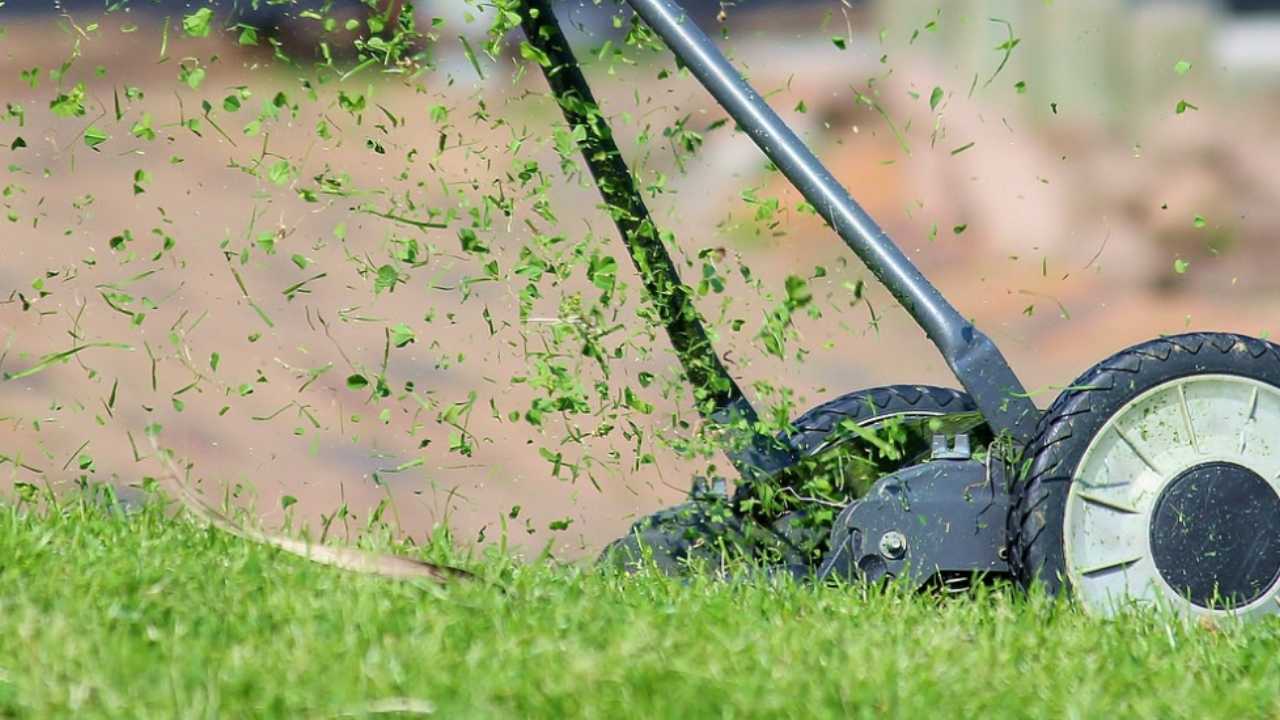 arrestato per il gesto nel giardino di casa