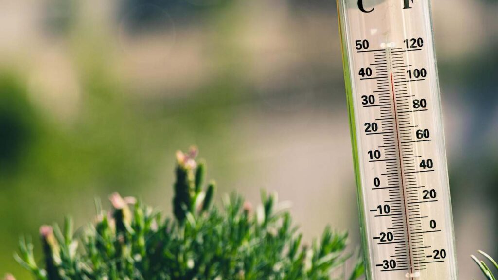 Temperature oltre i 35 gradi: cosa dicono gli esperti sulla tendenza dell’estate 2025