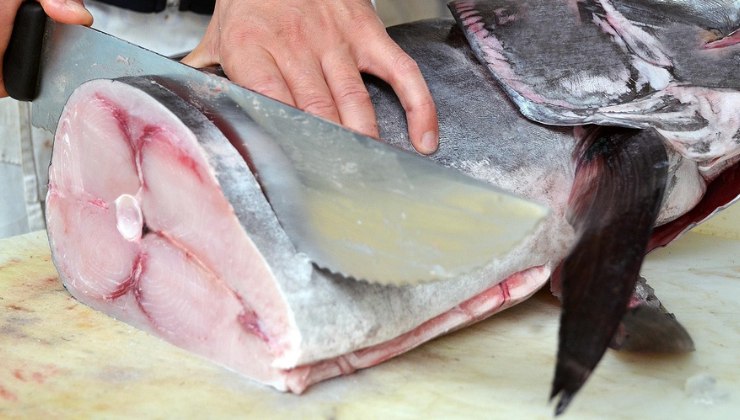 Pesce spada contaminato