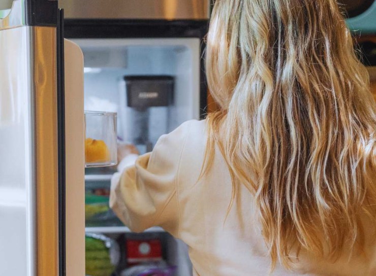 Alimenti da frigo