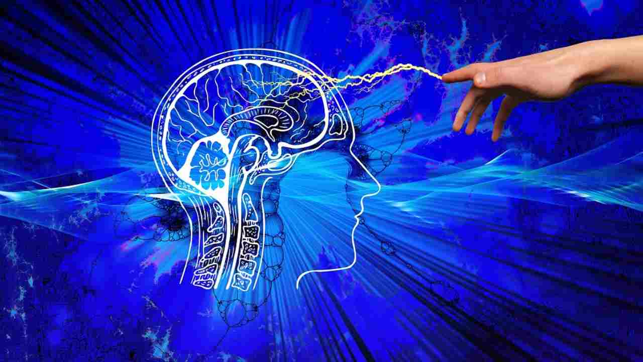 test della personalità sull'affidabilità