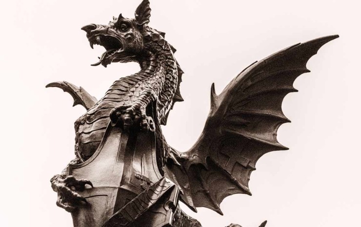 Drago di Terni