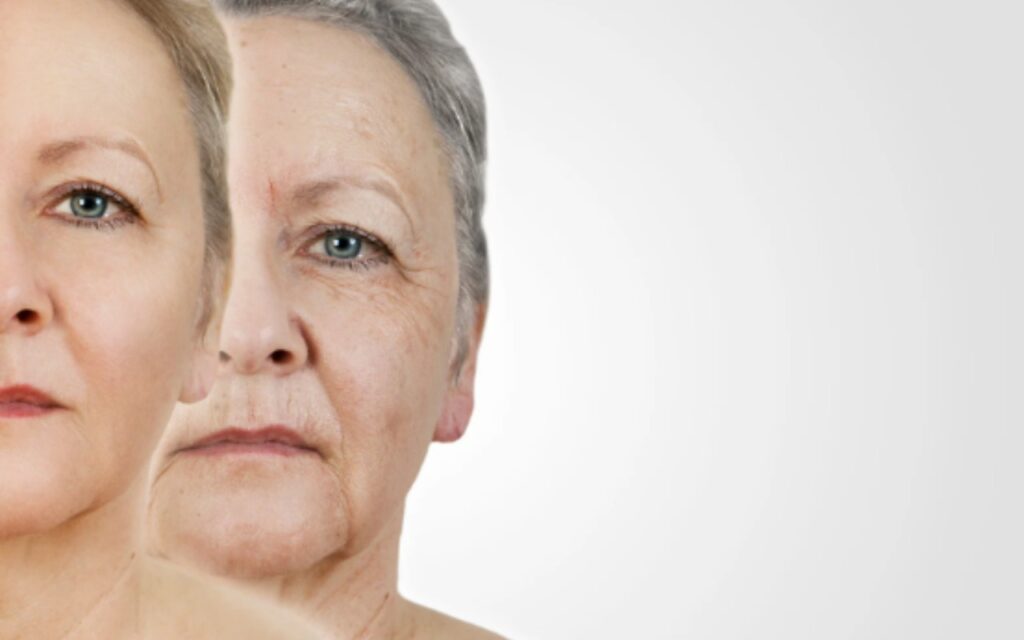 dieta anti menopausa
