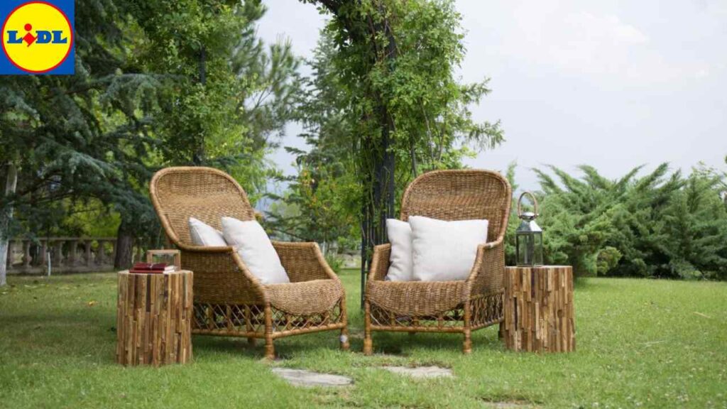 Come rinnovare il giardino grazie al LIDL