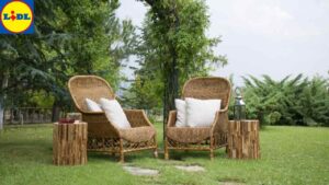 Come rinnovare il giardino grazie al LIDL