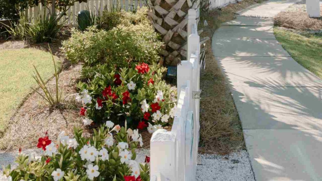 Giardino fiorito - Adginforma.it