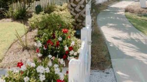Giardino fiorito - Adginforma.it