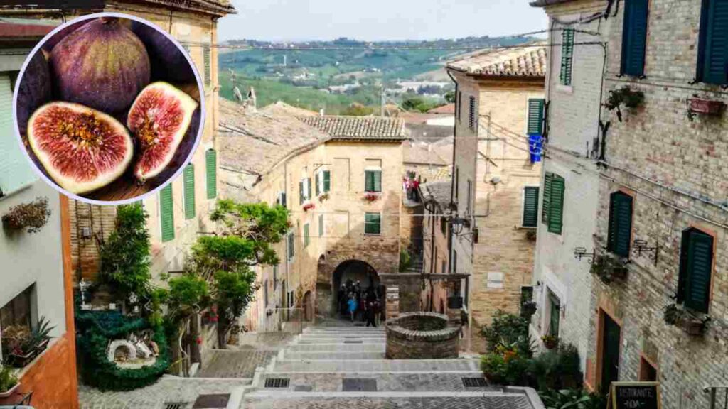Il borgo dei fichi in faccia - Adginforma.it