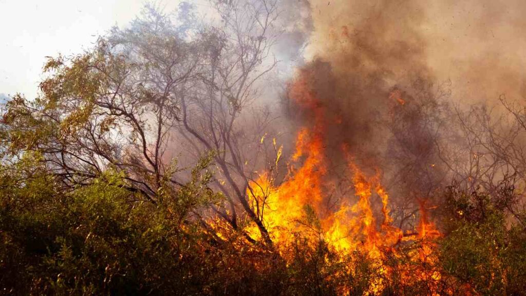 Regione Toscana: anticipato al 21 giugno il rischio incendi con l’attivazione del DIVIETO accensione fuochi