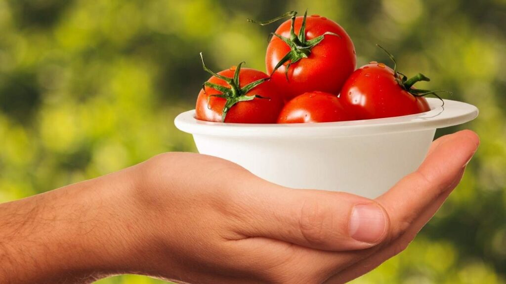 Pomodori - Adginforma.it