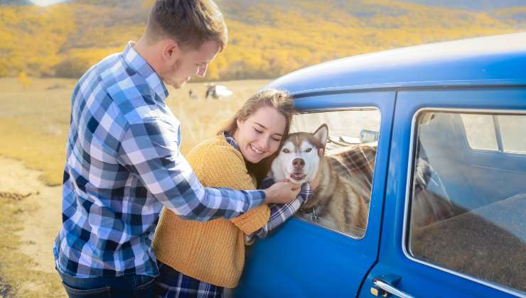 Regole per viaggiare con gli animali - adginforma.it - 20250626