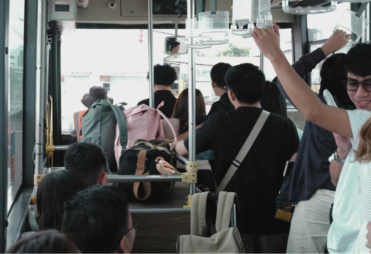 Persone in autobus