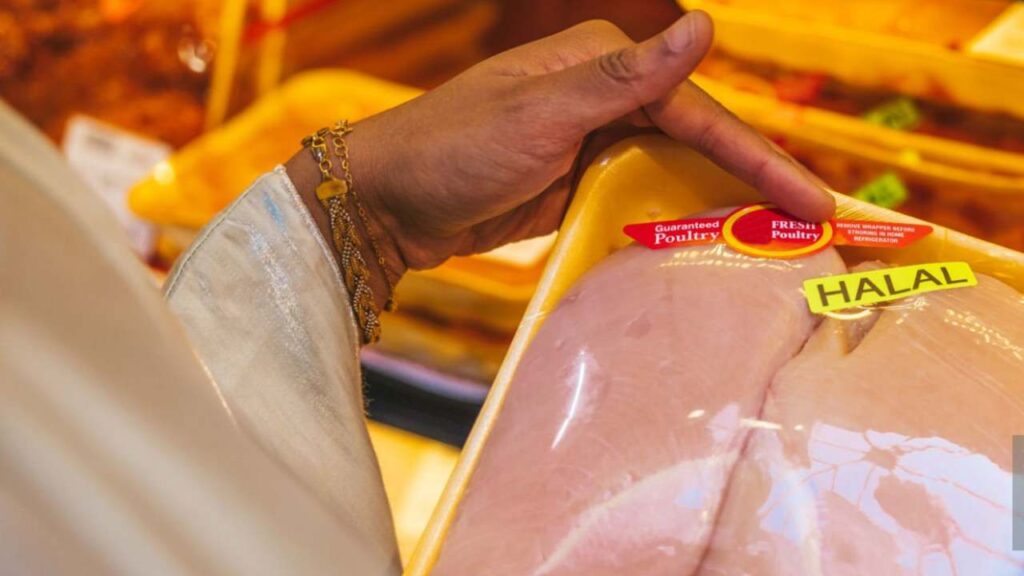 Mensa halal nelle scuole, l’invito ad aderire alla dieta musulmana fa insorgere Lega e Fratelli d’Italia: “È discriminazione al contrario”