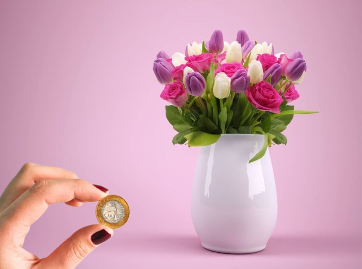 Le proprietà della moneta per i fiori 