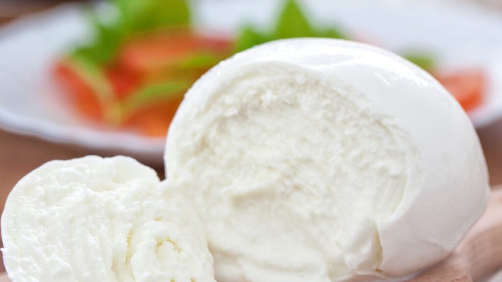 Mozzarella di bufala - Adginforma.it