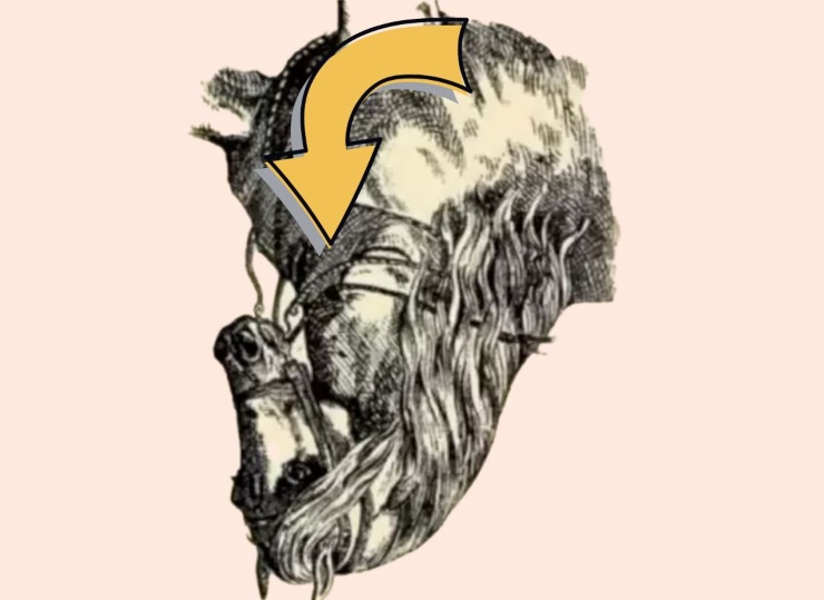 Test visivo del cavallo e fantino