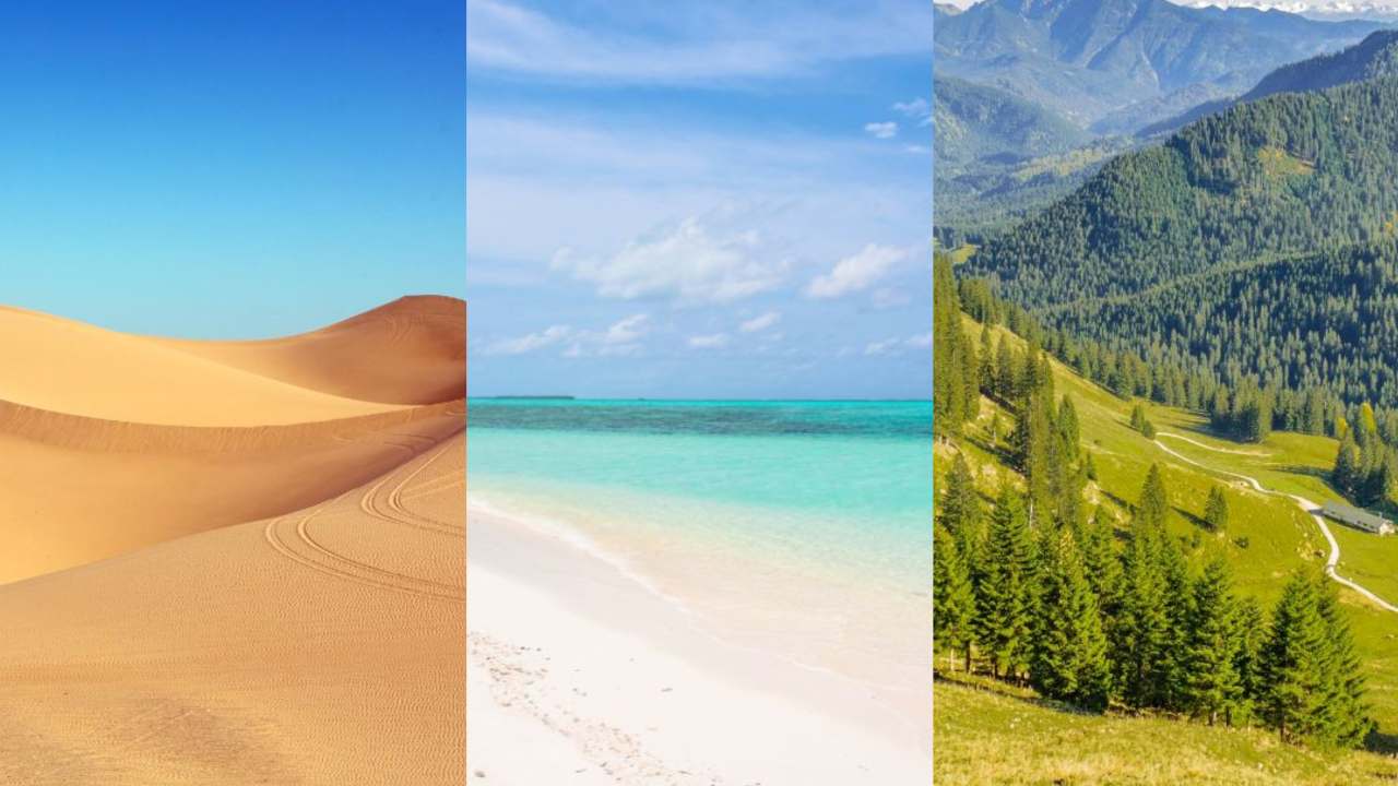 Test della personalità