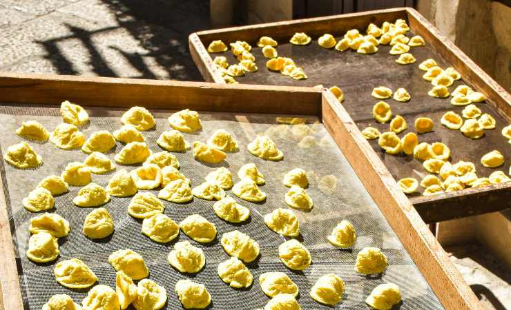 Orecchiette fresche - Adginforma.it